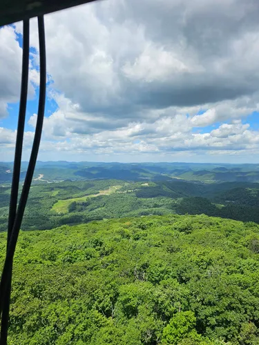 Atop a fire tower